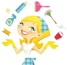domestic cleaning services