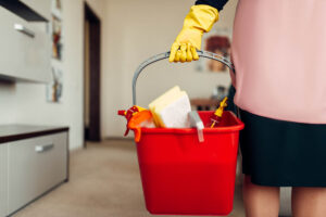 domestic cleaning